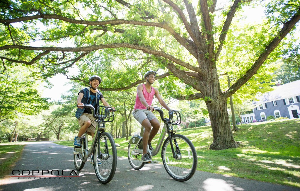 Coppola Photography Boston Bike Photo Two Men with Tree and Sun